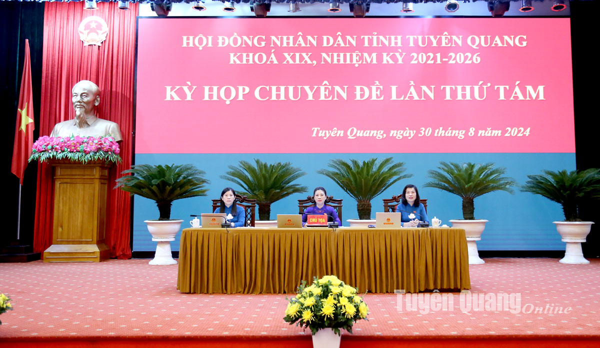 Kỳ họp chuyên đề lần thứ tám Hội đồng nhân dân tỉnh khóa XIX, nhiệm kỳ 2021-2026