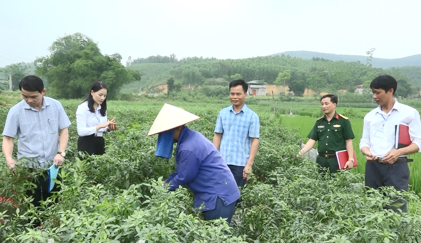 Thuyết phục từ giám sát chuyên đề bằng hình ảnh